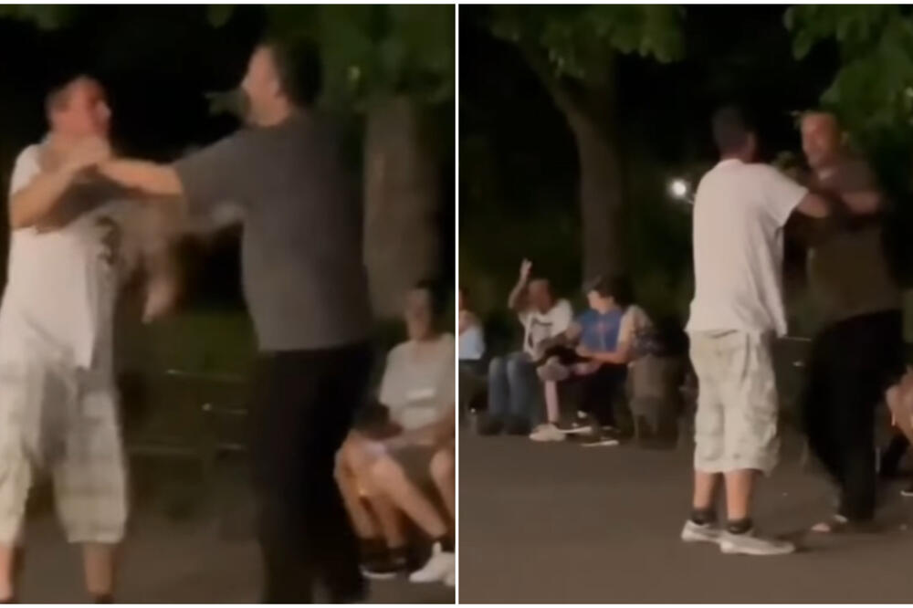 "ŠAMARANJE SLOBODNIM STILOM": Gledamo i ne verujemo kako se "mlate" u DUNAVSKOM PARKU pred publikom (VIDEO)