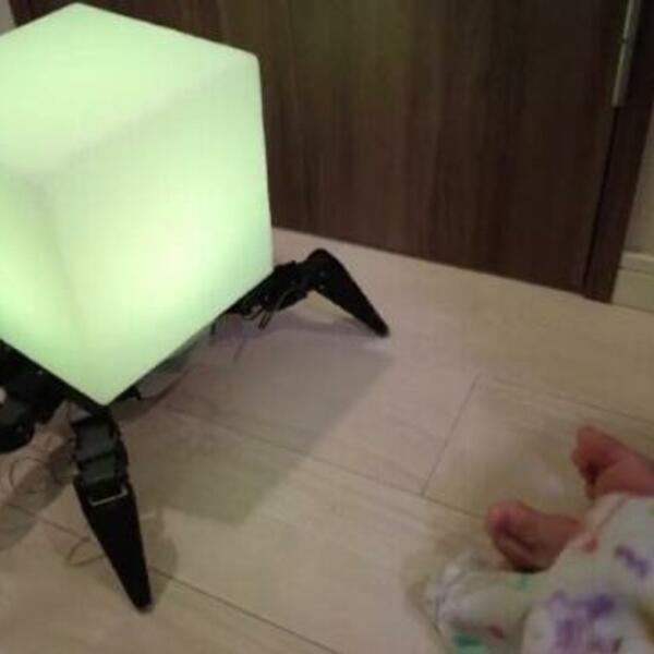 VEĆU BIZARNOST NISTE VIDELI: Hoda na četiri noge i stiže iz JAPANA (VIDEO)