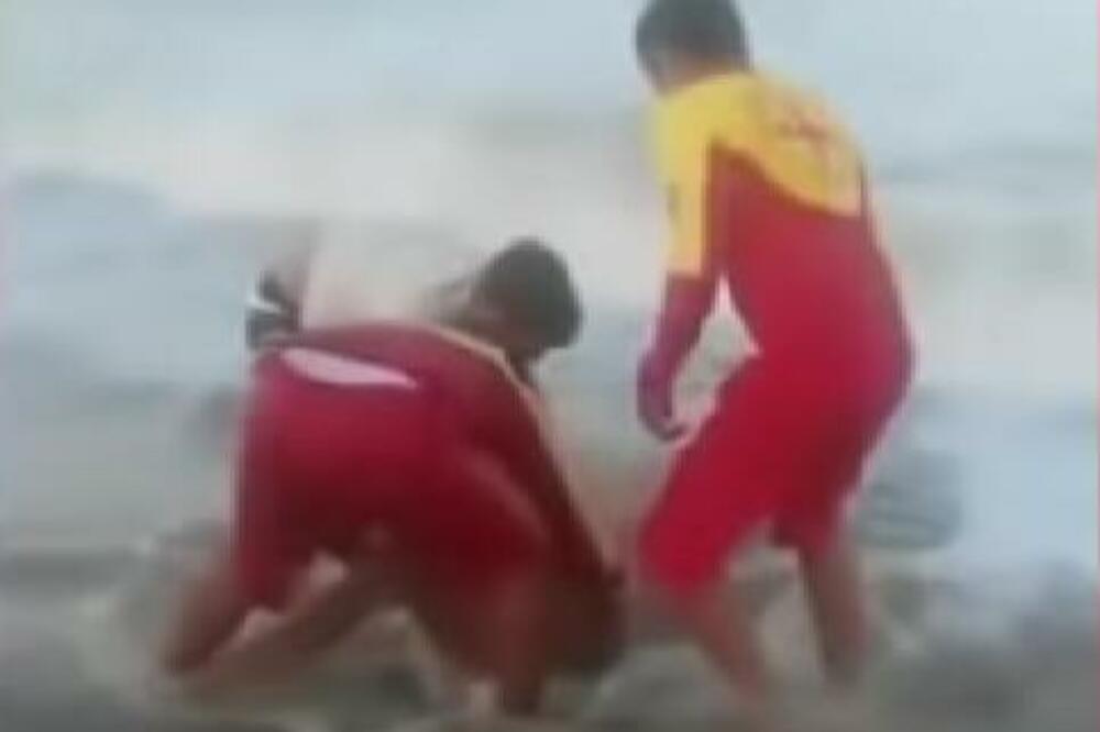 AJKULA OTKINULA MLADIĆU (18) POLNI ORGAN: Neviđeni HOROR na poznatoj plaži! (UZNEMIRUJUĆ SNIMAK)