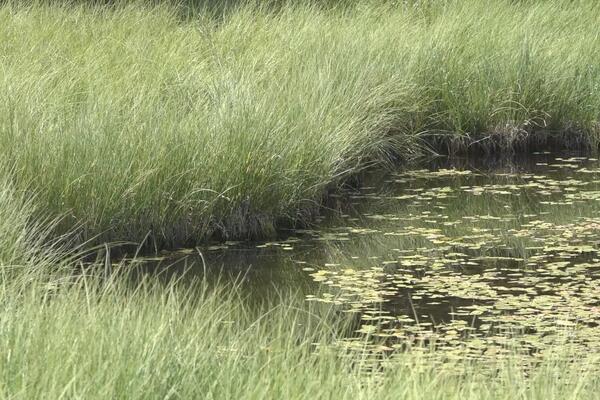 OVAJ SKRIVENI BISER SRBIJE OBAVIJEN JE VELOM MISTERIJE: U njemu su se UTOPILI SVATOVI (FOTO)