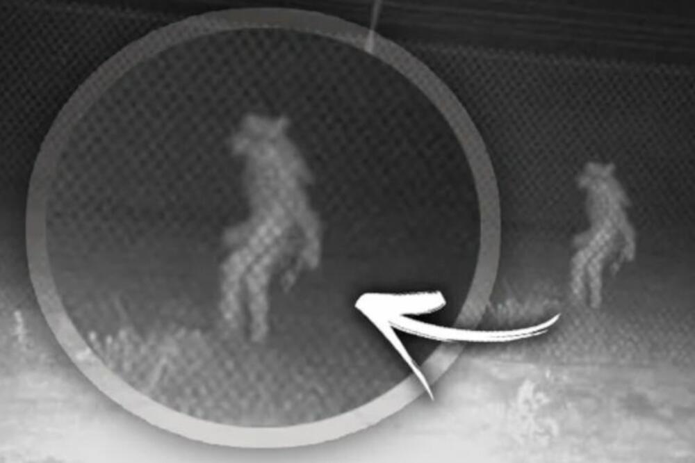 MISTERIOZNO BIĆE U ZOO VRTU, POJAVILO SE TOKOM NOĆI: Ljudi trljaju oči i NE VERUJU, šta je ovo?! (FOTO)