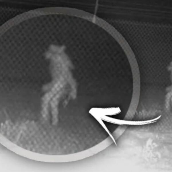 MISTERIOZNO BIĆE U ZOO VRTU, POJAVILO SE TOKOM NOĆI: Ljudi trljaju oči i NE VERUJU, šta je ovo?! (FOTO)