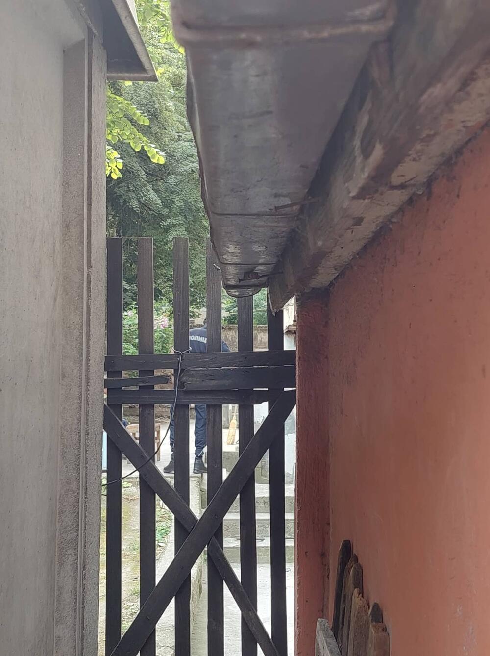 Dragana Milisavljević