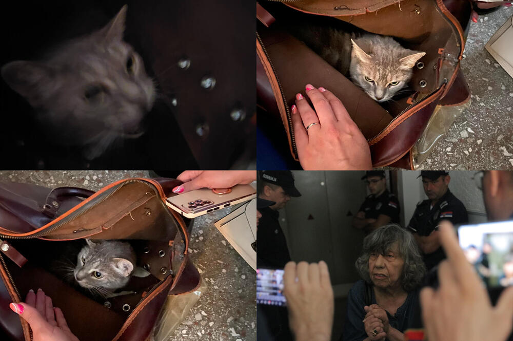 PORED DRAGANE, IZVRŠITELJI SU IZBACILI I NJENE 2 MACE: Jedna je POBEGLA, druga je ZASTRAŠENA, gde će vam DUŠA? FOTO