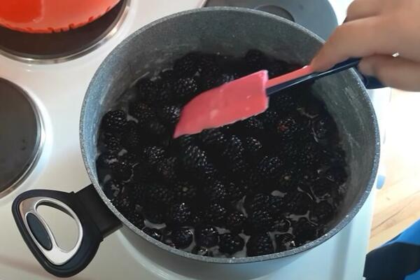 DOMAĆI RECEPT ZA SLATKO OD KUPINA KOJI VRAĆA U DETINJSTVO: Napravite prirodnu poslasticu koja je PROVERENO DOBRA