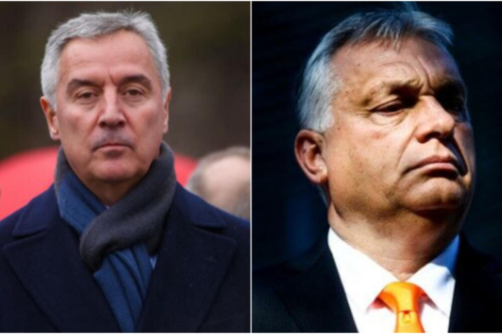 ORBAN NAPRAVIO RUČAK U ČAST MILA ĐUKANOVIĆA: Predsednik Crne Gore u poseti kod KOMŠIJA, goruće teme na STOLU!