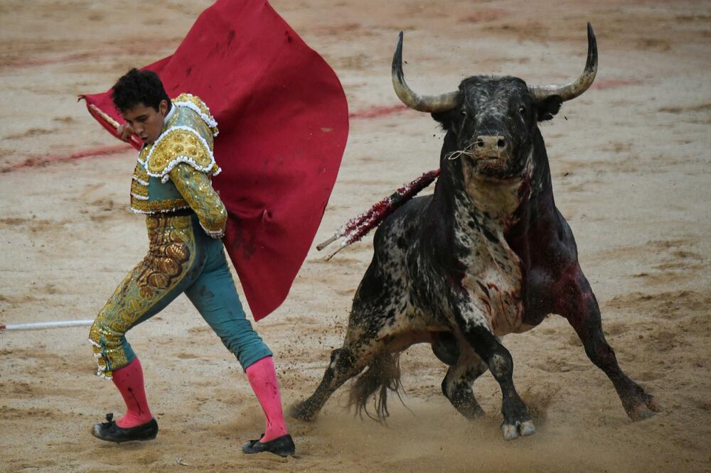 TRKA SA BIKOVIMA DOVELA DO TRAGIČNIH POSLEDICA! Ima povređenih