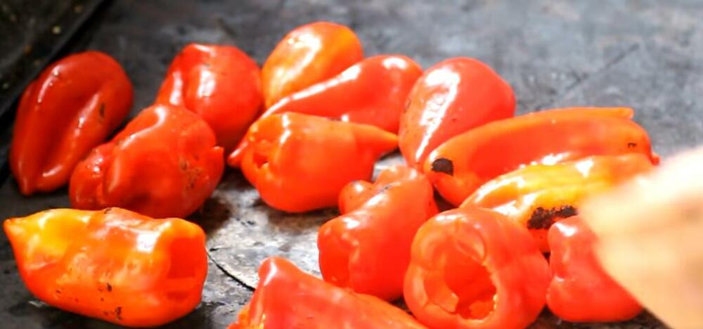 Peckana paprika, Paprika, Tegla