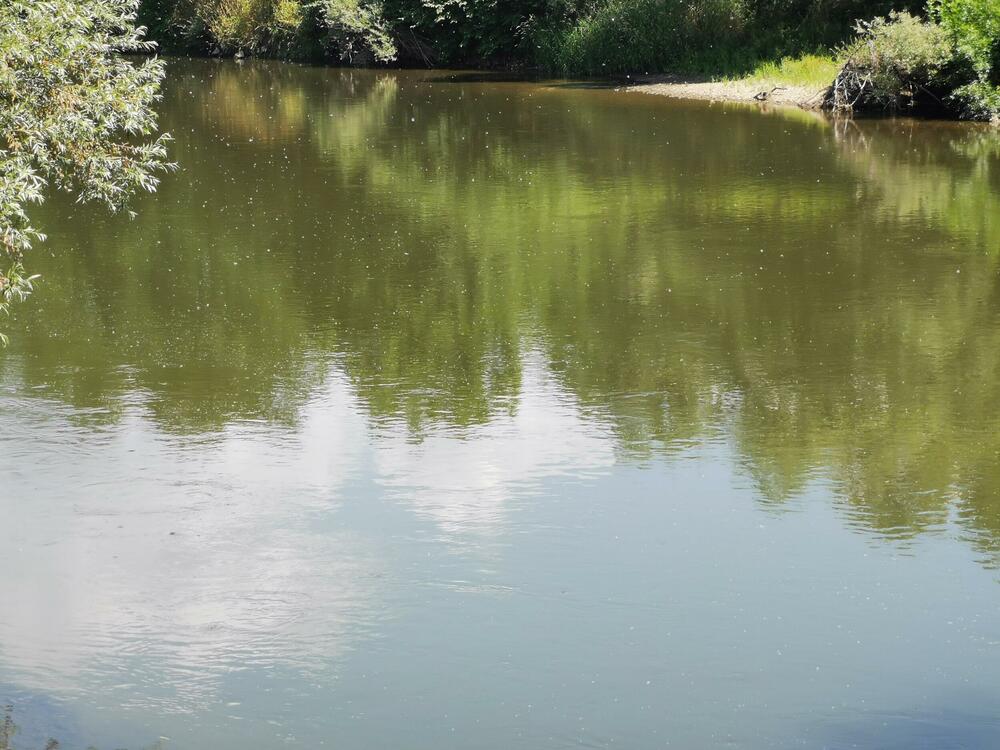 Divlje plaže, Kupanje