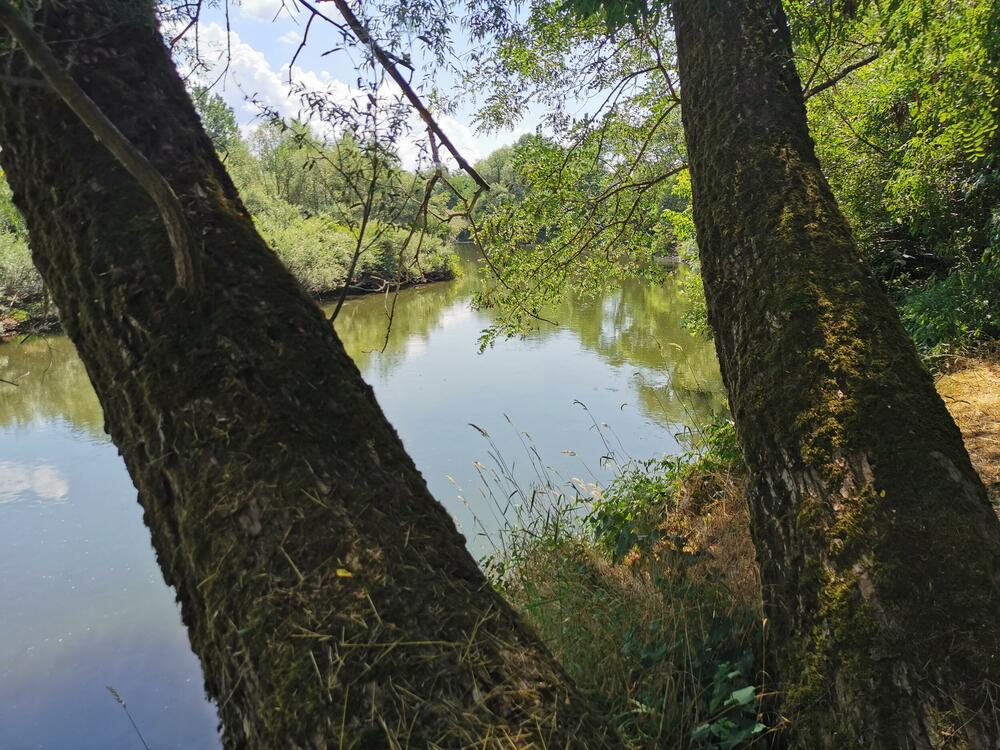 Divlje plaže, Kupanje