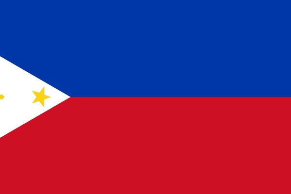 KAKO GRADONAČELNIK KAŽE! Filipinci moraju OVO da rade na POSLU, neverica!