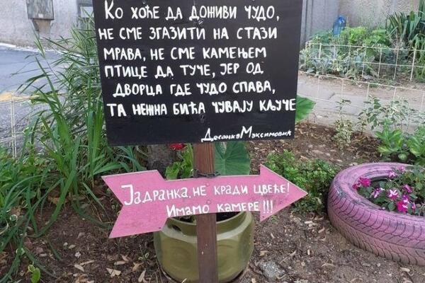 CELA SRBIJA PLAČE OD SMEHA ZBOG OVE PORUKE: Jedna Jadranka je JAVNO OSRAMOĆENA, a evo ZBOG ČEGA! (FOTO)