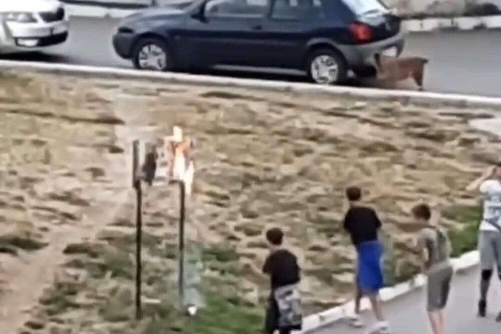 LJUDI GLEDAJU I KRSTE SE: Deca zapalila VATRU usred Mirijeva i rade OVO! (VIDEO)