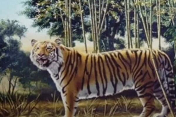 DA LI VIDITE JEDNOG ILI DVA TIGRA? Ova optička iluzija vam OTKRIVA DA LI SPADATE MEDJU NAJPAMETNIJE!