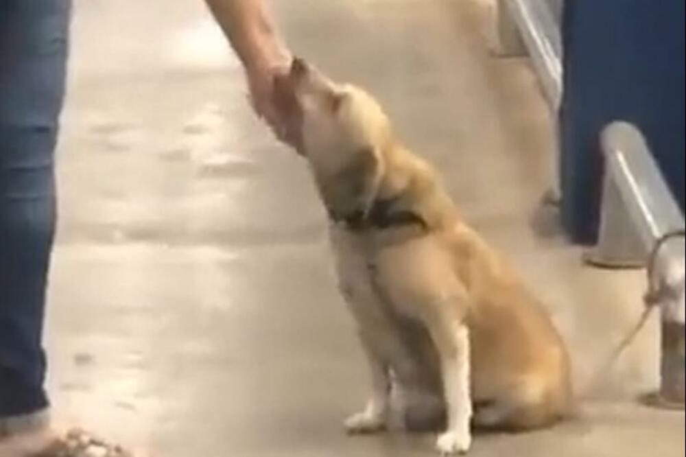 ĆAO SVIMA KOLIKO VAS IMA! Žuto srce pozdravljalo sve ljude koji su izlazili iz marketa, nikoga nije PRESKOČIO! FOTO