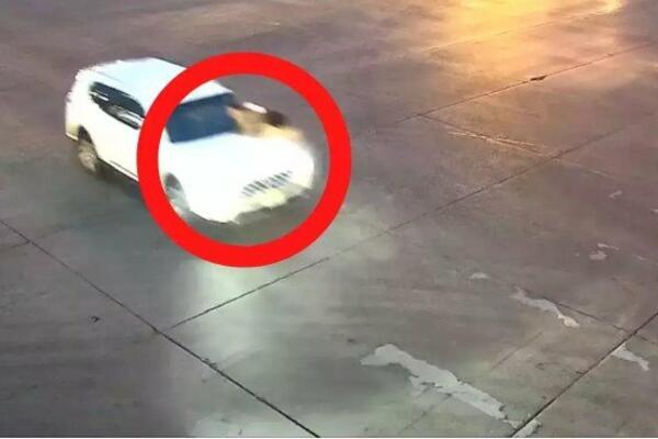 MAJKA POLUDELA: LAVOVSKI se borila protiv OPAKE ŽENE koja joj je NASRNULA NA DECU, na kraju šok! (VIDEO)