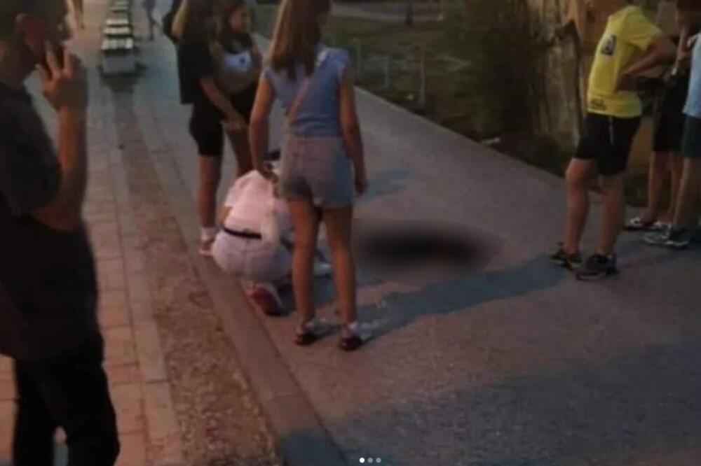 UZNEMIRUJUĆE, PREGAŽEN PAS U KRALJEVU NAOČIGLED DECE: Vozač POBEGAO, HOROR! (FOTO)