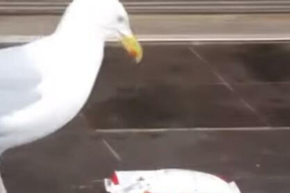 PERNATI KLEPTOMAN MAZNUO ČIPSEVE IZ RADNJE! Pogledajte KAKO je uhvaćen u AKCIJI, nije mogao da ZBRIŠE! (FOTO)