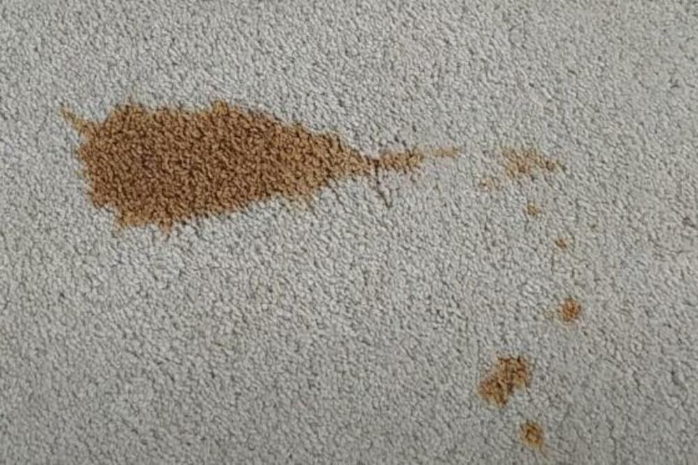 KAKO DA OČISTITE FLEKU OD KAFE SA TEPIHA: Jedna namirnica iz kuhinje je SPAS, svi je imate u KUĆI