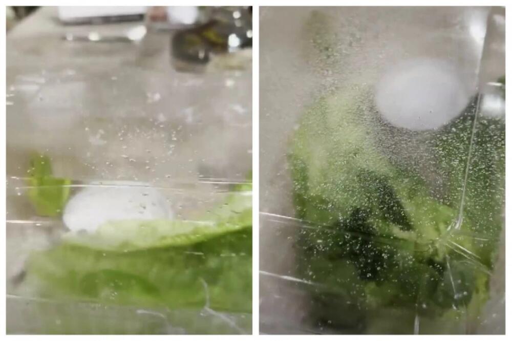 NARUČIO SALATU, DOBIO KUĆNOG LJUBIMCA: Kada je otvorio poklopac, umalo se nije ŠLOGIRAO! (FOTO)