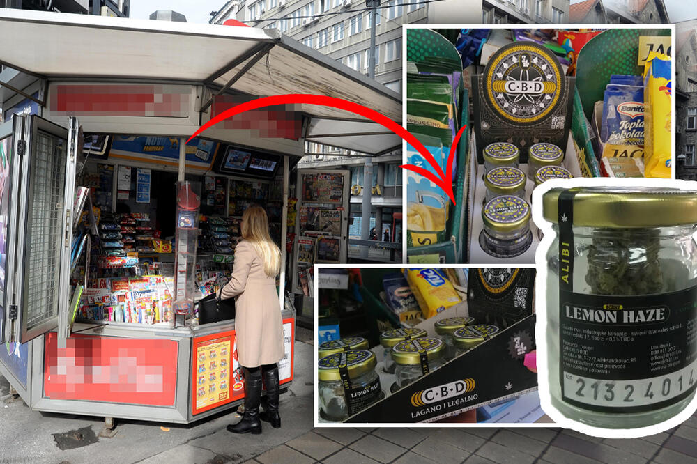 SVI MISLE DA JE OVO DROGA, A PRODAJE SE NA TRAFIKAMA U SRBIJI: Otkrivamo sve o CBD cvetu koji Srbi kupuju kao LUDI!