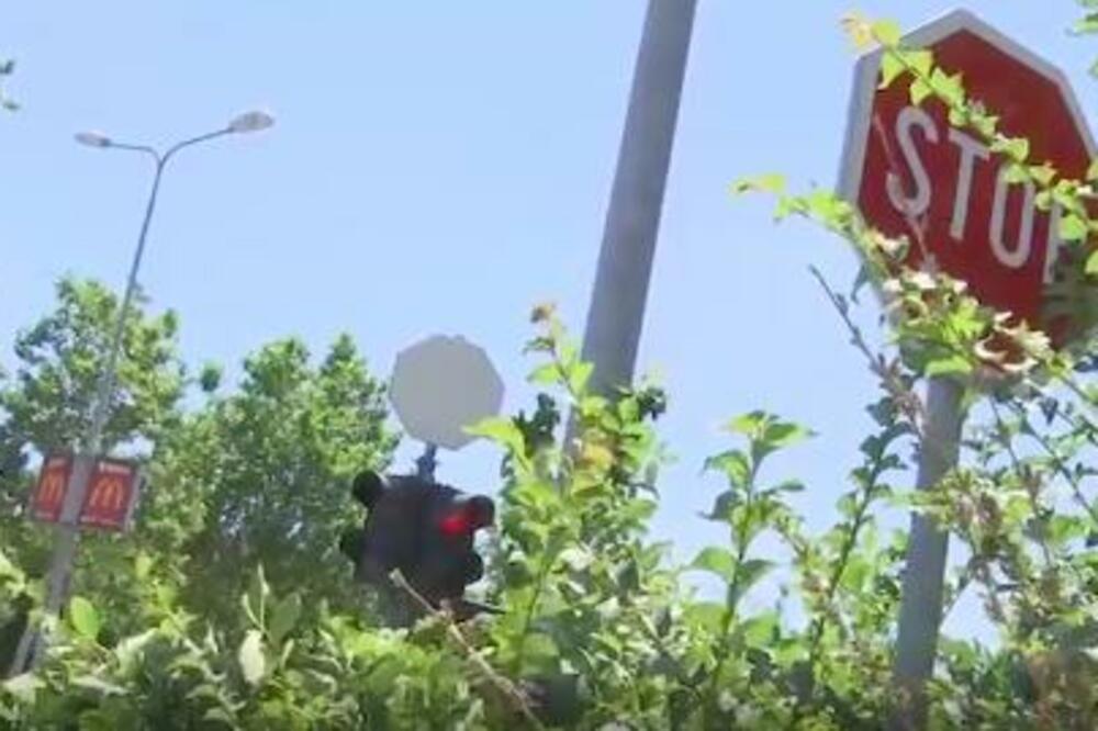 10 CRNIH TAČAKA BEOGRADA KOJE NI VOZAČ FORMULE 1 NE BI MOGO DA SAVLADA: U Surčinu je najgora!