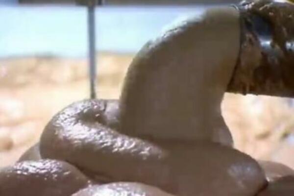 NAJJEZIVIJI SNIMAK PRAVLJENJA VIRŠLI KOJI ĆETE VIDETI: Zgadiće vam se sve što ste IKAD POJELI (VIDEO)