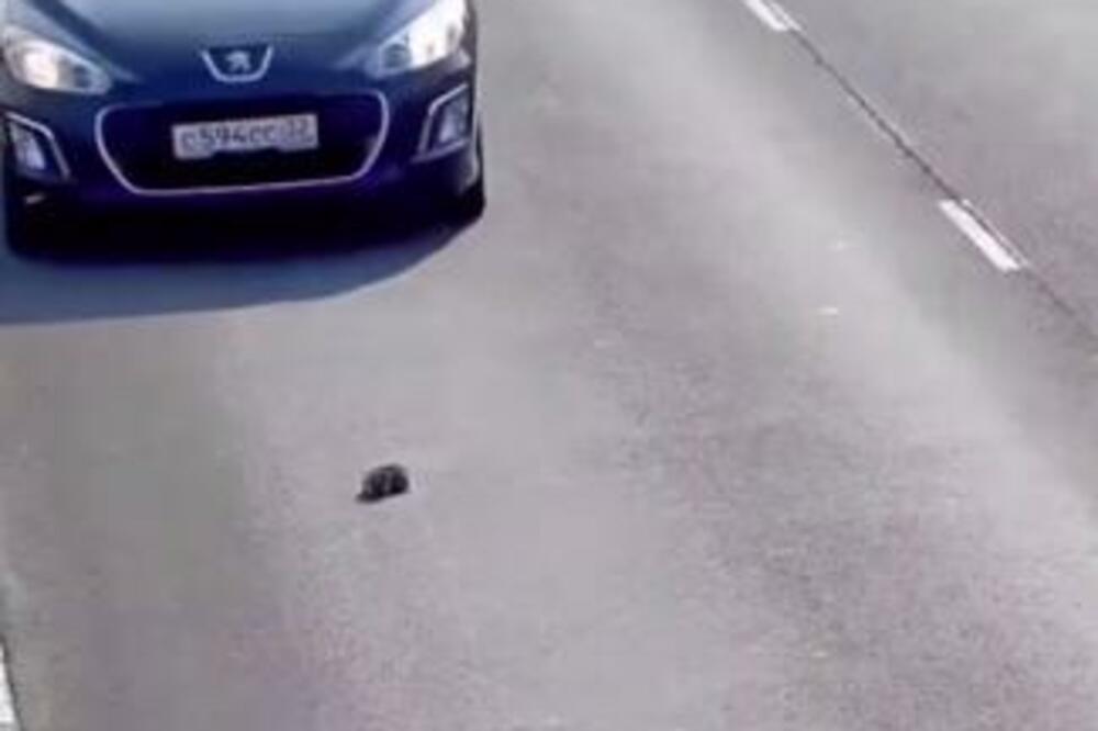 MALENO MAČE SE NAŠLO ZAROBLJENO NASRED PUTA: Svi pokušali da ga IZBEGNU, a onda je ovaj čovek uradio OVO! (VIDEO)