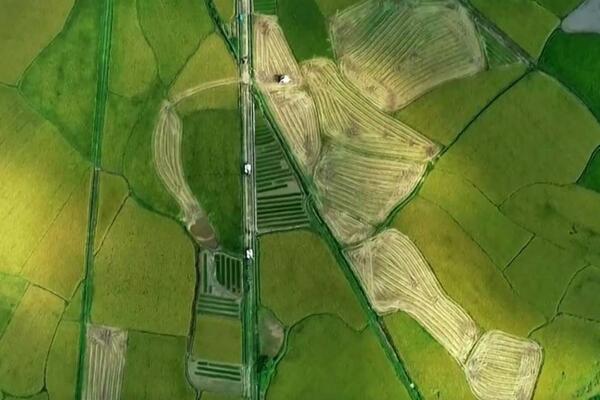 Kineska ekonomija stabilno napreduje u prvoj polovini godine