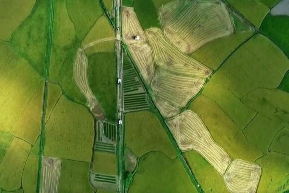 Kineska ekonomija stabilno napreduje u prvoj polovini godine