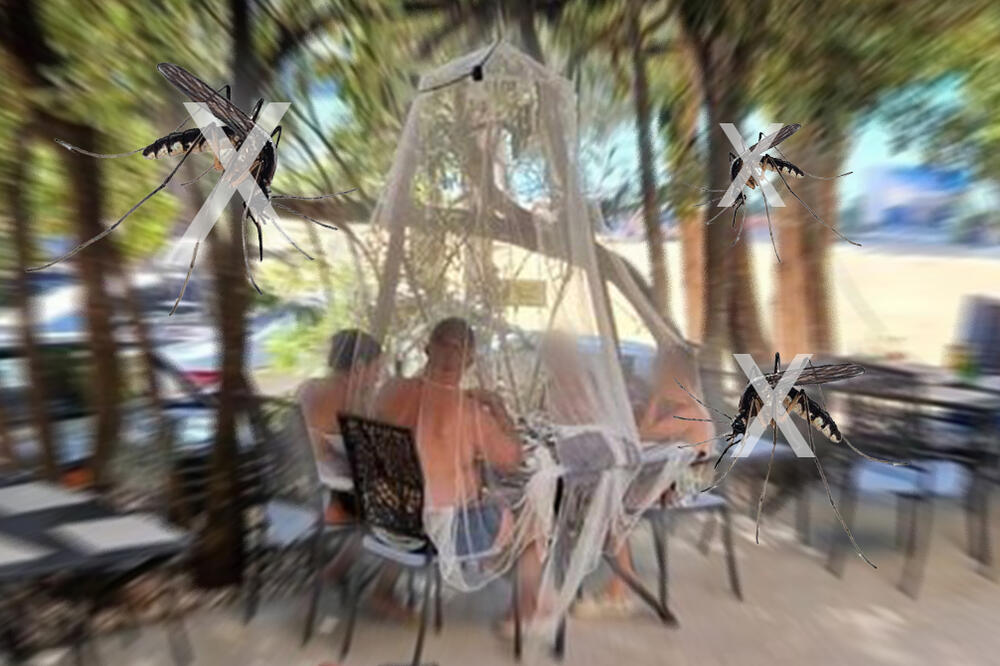 Pazite se virusa Zapadnog Nila ako ste planirali letovanje u nekoj od ove 3 države: Stiglo hitno upozorenje