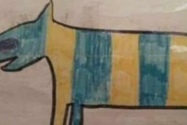 DEČAK JE ZBOG OVOG CRTEŽA DOBIO DVOJKU, A ONDA SE NJEGOVA MAJKA POBUNILA! Da li prepoznajete ŽIVOTINJU? (FOTO)