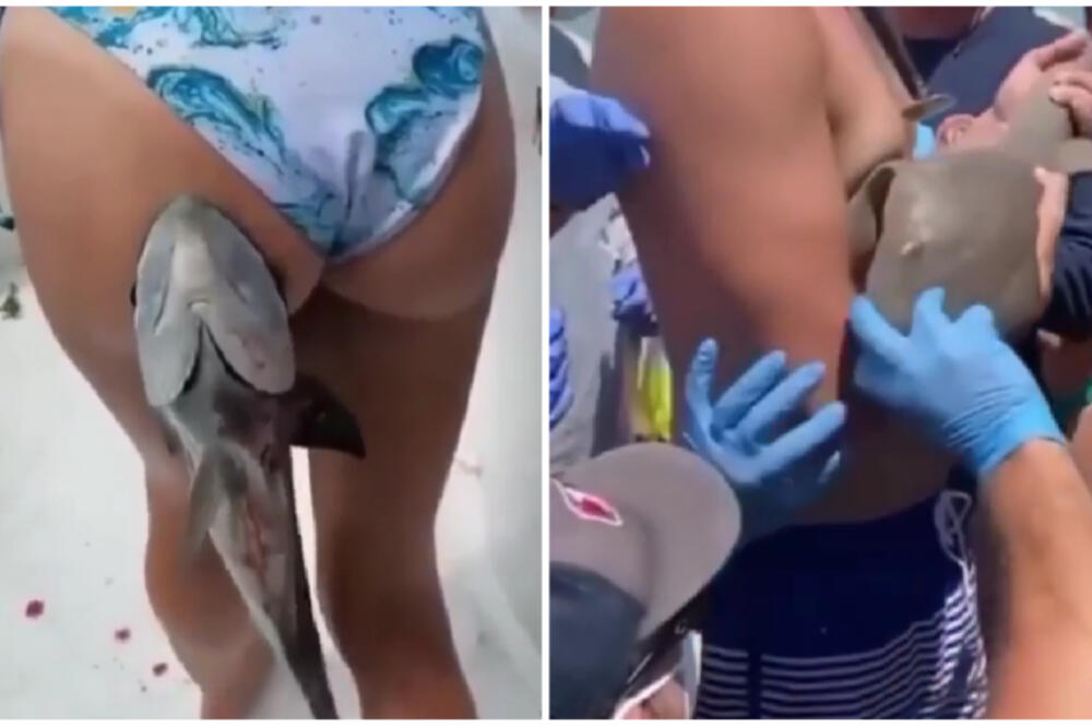 ZAGRIZLE I NE PUŠTAJU NI POD TAČKOM RAZNO: Pogledajte kako su ovi kupači NAGRABUSILI na letovanju - JEZIVO! (VIDEO)