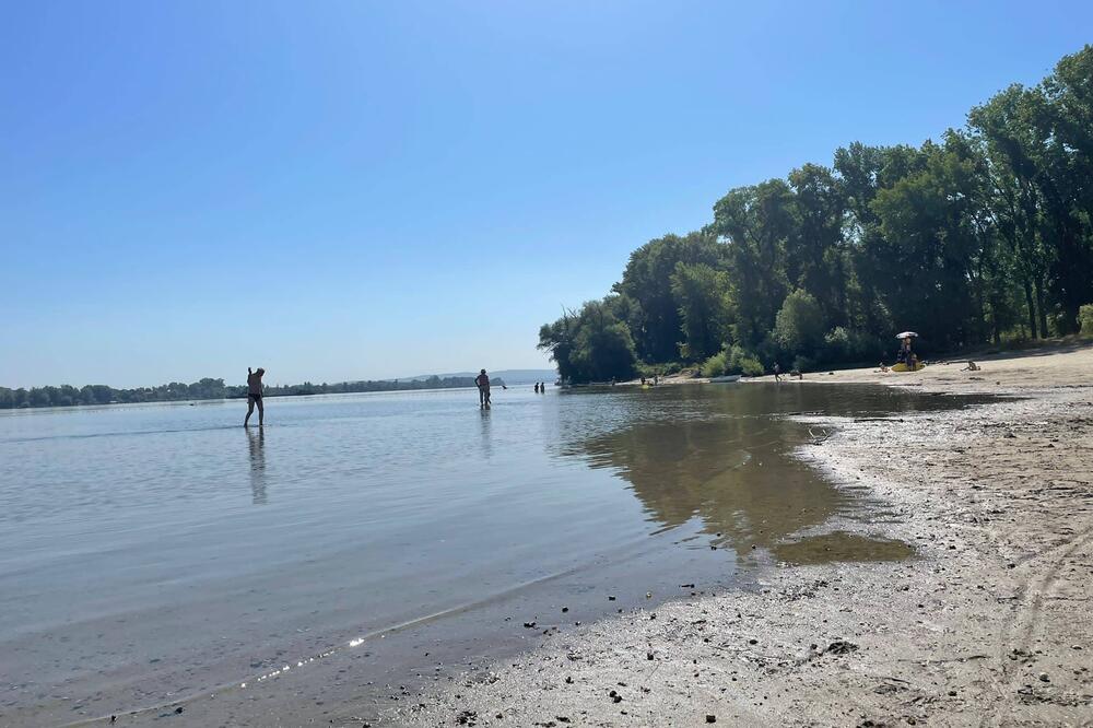 NEMOJTE DA SE ČUDITE AKO OVDE VIDITE DIVLJE SVINJE! Beograđani se tu ČESTO KUPAJU, a na ZNAK i ne obrate pažnju