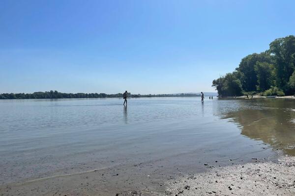 JEZIV PRIZOR NA PLAŽI U SPLITU: Iz plićaka izvučeno OVO, građani se razbežali u PANICI!