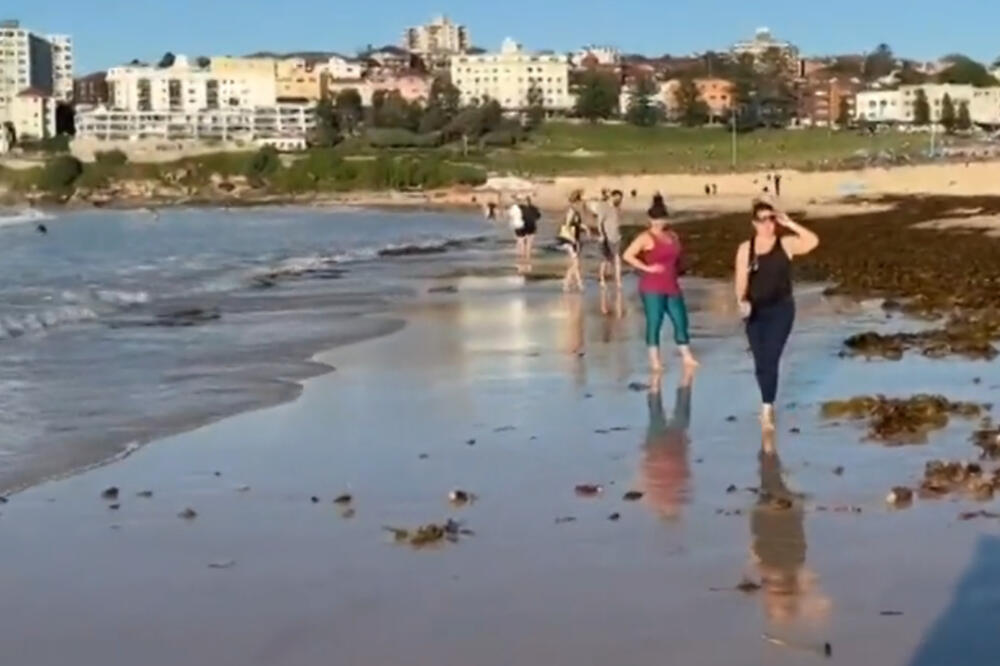 NIJE LJUDSKO! Misteriozno stvorenje izronilo iz vode, LJUDI SE ZGRANULI (ŠOK VIDEO)