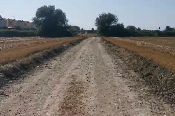 PLATILI LETOVANJE 2.000 EVRA DA GLADUJU NA NJIVAMA?! Dejan i Milena TVRDE da su preživeli PAKAO na odmoru (VIDEO)