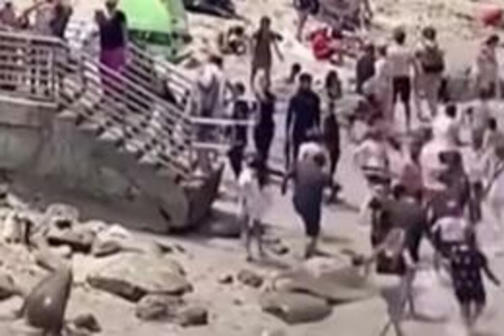 MARŠ SA PLAŽE, TERITORIJA JE NAŠA: Foke pokazale ko je GLAVNI, pogledajte kako su RASTERALE TURISTE! (VIDEO)