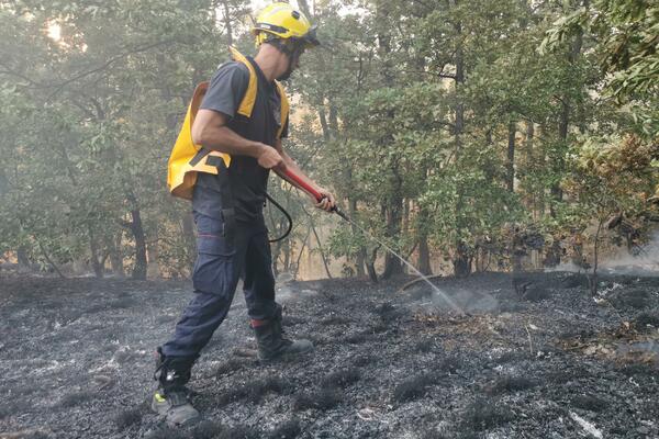 NISU SAMO SUNČANICE OPASNOST TOPLOTNOG TALASA KOJI NAM SLEDI! Prethodna 2 meseca registrovano 3 HILJADE POŽARA!