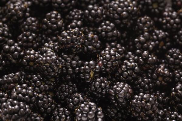 OVO VINO LEČI DUŠU, A TREBA VAM SAMO 2 SASTOJKA: Svi ga vole, ovo je pravi SRPSKI specijalitet