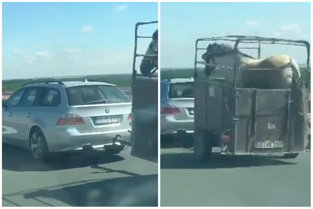 RETKA SLIKA DA BMW ŠLEPA FERARI: Svi u NEVERICI buljili u VOZAČA na AUTOPUTU, čovek se "SAMO SNAŠAO"! (VIDEO)