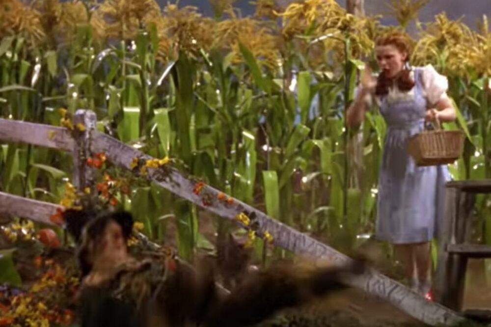 RADILI SU JOJ TO DOK JE BILA MALOLETNA: Glumica trpela ZLOSTAVLJANJE od kolega, SVI JE ZNATE