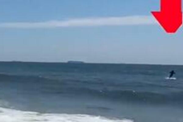 UPOMOĆ, AJKULA! Isplivao SNIMAK morske NEMANI, pogledajte NJENE akrobacije! (VIDEO)