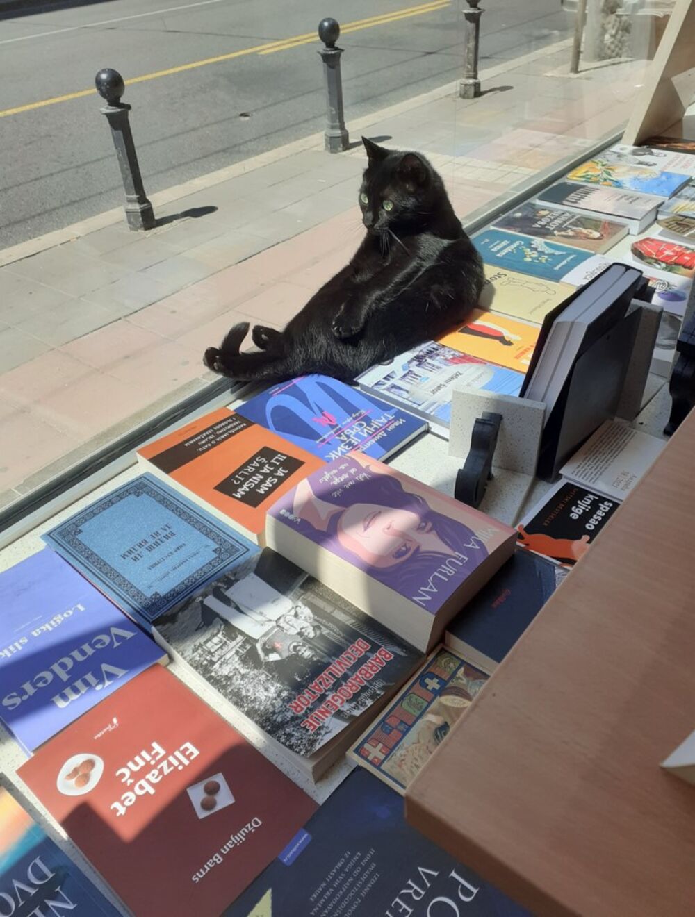 Čarni se 'sunča' u izlogu