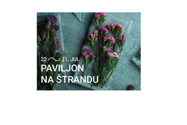SPEKTAKL U NOVOM SADU - POČINJE "DUNAVSKO MORE": Od 22. jula Novosađani će na Štrandu uživati uz koncerte, filmove