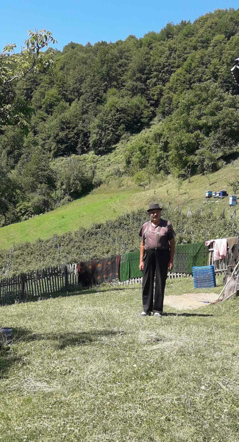 Laste, Gnezdo, Ptice