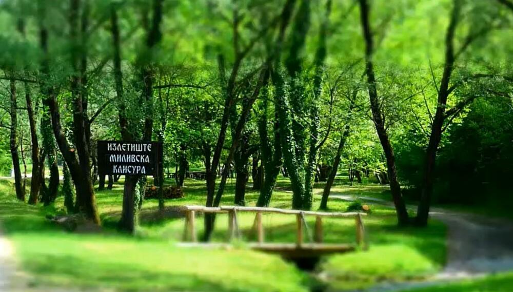 Milivska klisura, Klisura