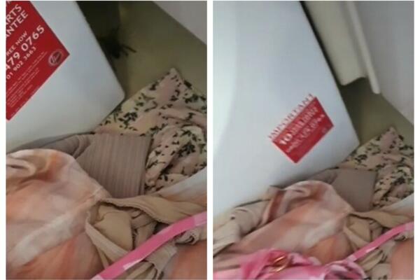 VRATILA SE SA POPULARNOG LETOVALIŠTA, PA DOŽIVELA ŠOK: U koferu zatekla JEZIVO STVORENJE (VIDEO)