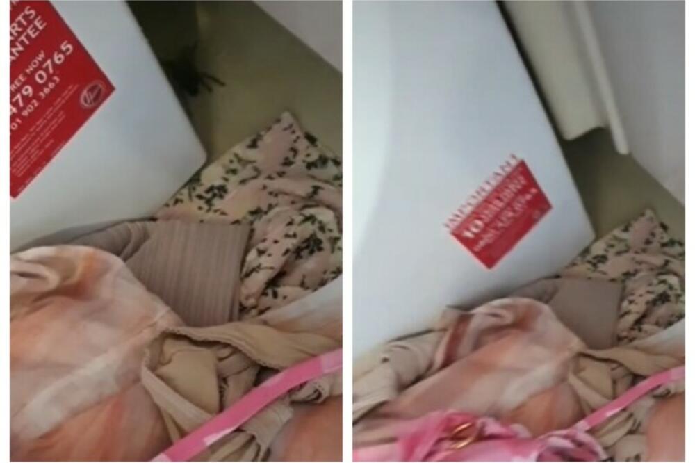 VRATILA SE SA POPULARNOG LETOVALIŠTA, PA DOŽIVELA ŠOK: U koferu zatekla JEZIVO STVORENJE (VIDEO)