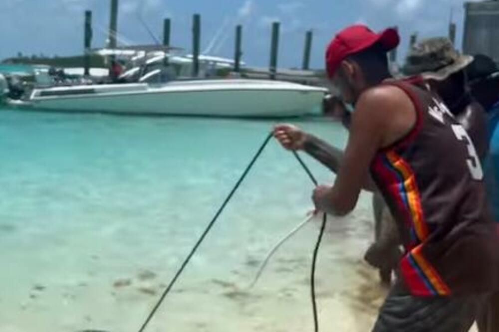 NIJE RAZMIŠLJAO O MOGUĆIM POSLEDICAMA! Ajkule seju strah, a Kirjos ih se ne plaši! (VIDEO)